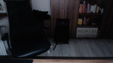 HorseCock23cm  12-10-2021 Recorded Video XXX